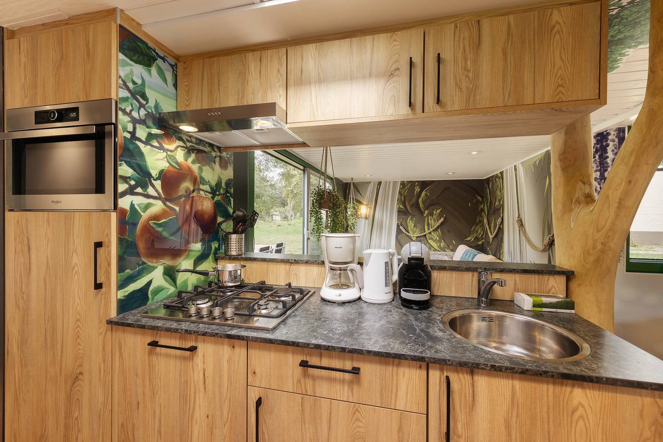 Cottage Wonders of Nature 5 people in Drenthe