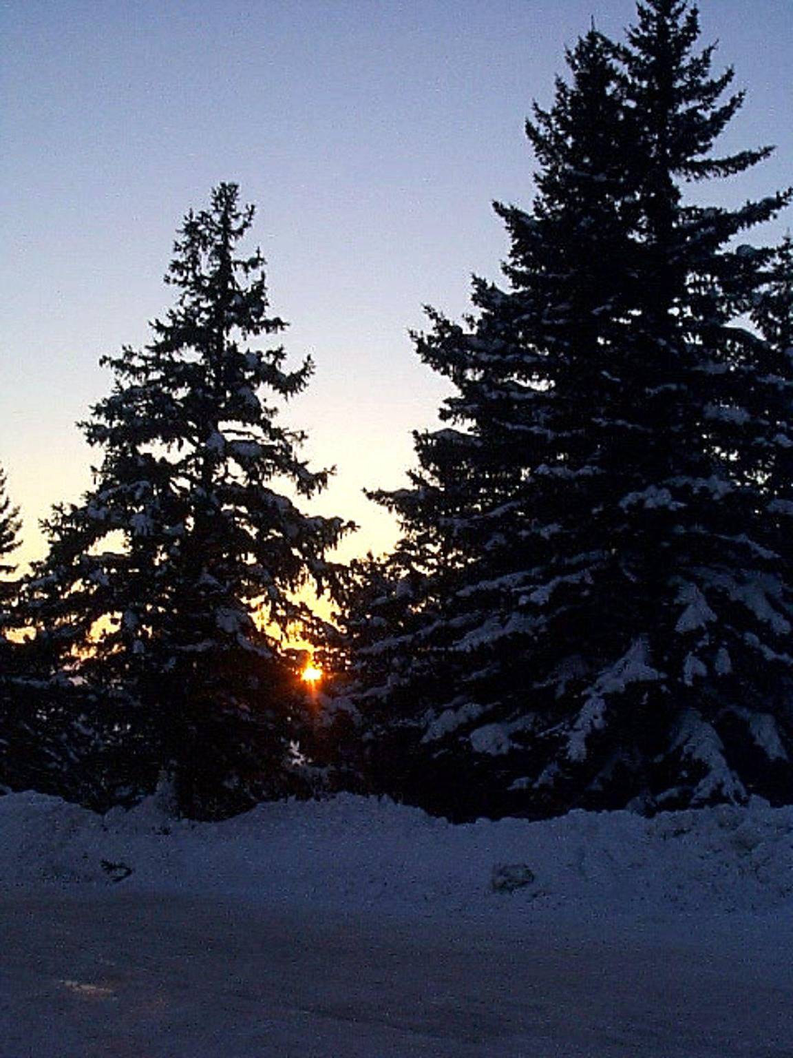 Estudio entero, Résidence l'Eterlou - Estudio para 3 personas (310) in Chamrousse, Parque Nacional de los Ecrins