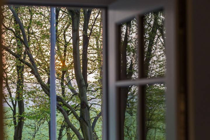 Ferienwohnung für 2 Personen, mit Garten und Balkon, mit Haustier in Garz/Rügen - 2