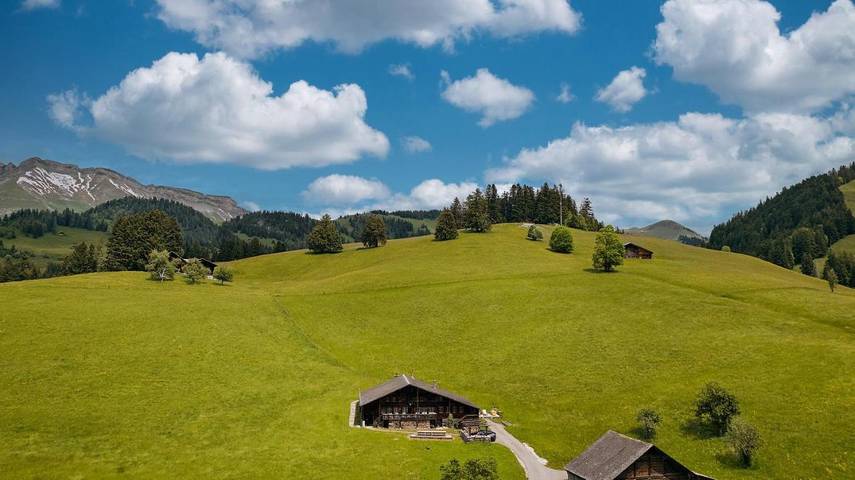 Gîte pour 14 personnes, avec jardin ainsi que sauna et jacuzzi à Rougemont - 3
