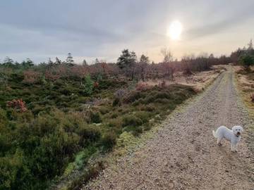 Ferienhaus für 6 Personen in Henne Strand, Filsø See, Bild 3
