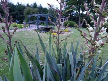 Ferienhaus für 5 Personen in Stavenhagen, Mecklenburgische Seenplatte, Bild 4
