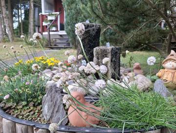 Hütte für 2 Personen in Ostharz, Harz, Bild 2