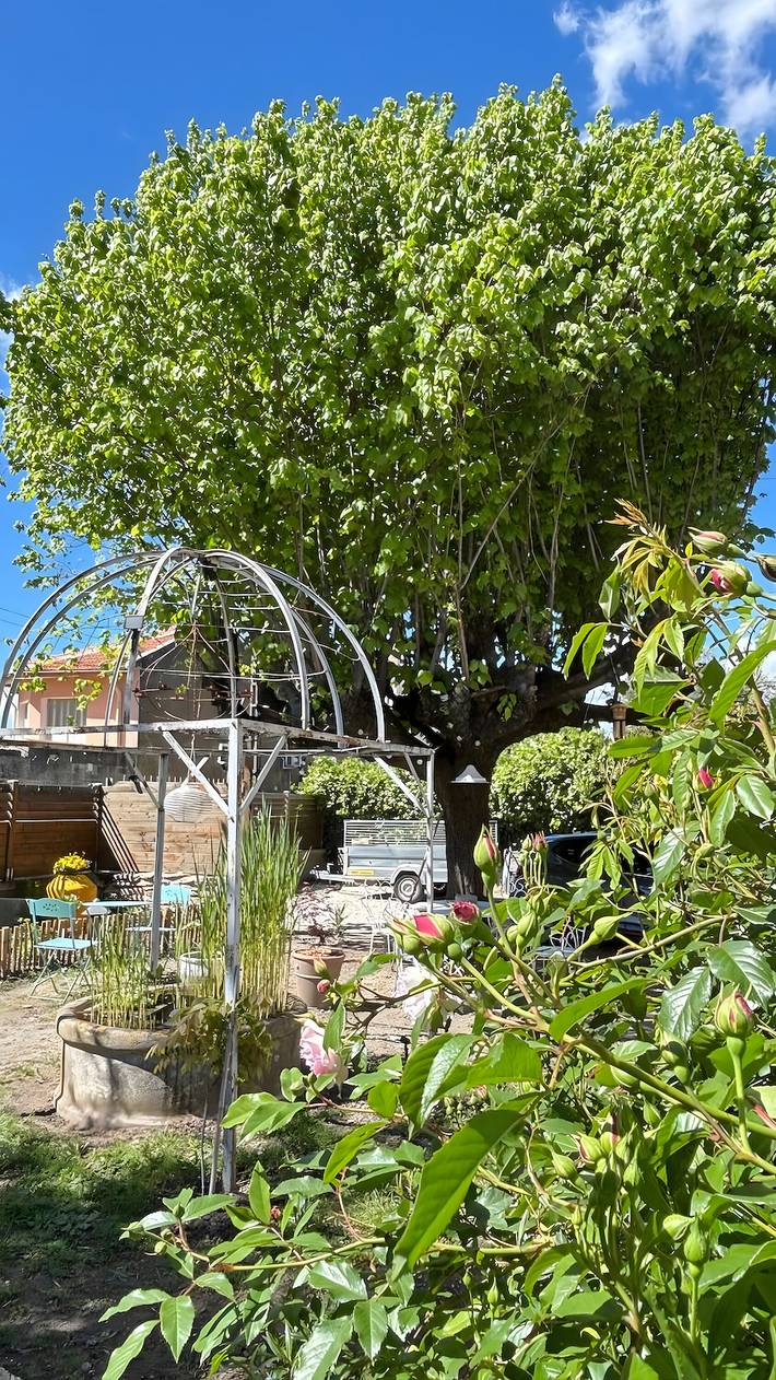 Appartement de vacances pour 3 personnes, avec jardin - 1