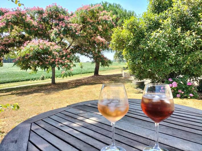 Location de vacances pour 8 personnes, avec jardin ainsi que piscine et vue à Condom - 2