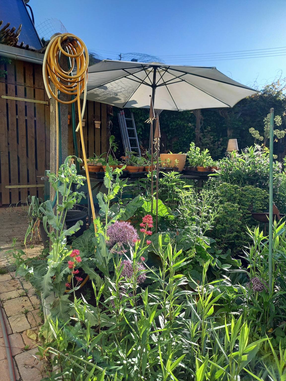 "Flora-Marie - der Bauwagen im Garten" mit privater Terrasse und gemeinsamem Garten in Ötisheim, Nordschwarzwald