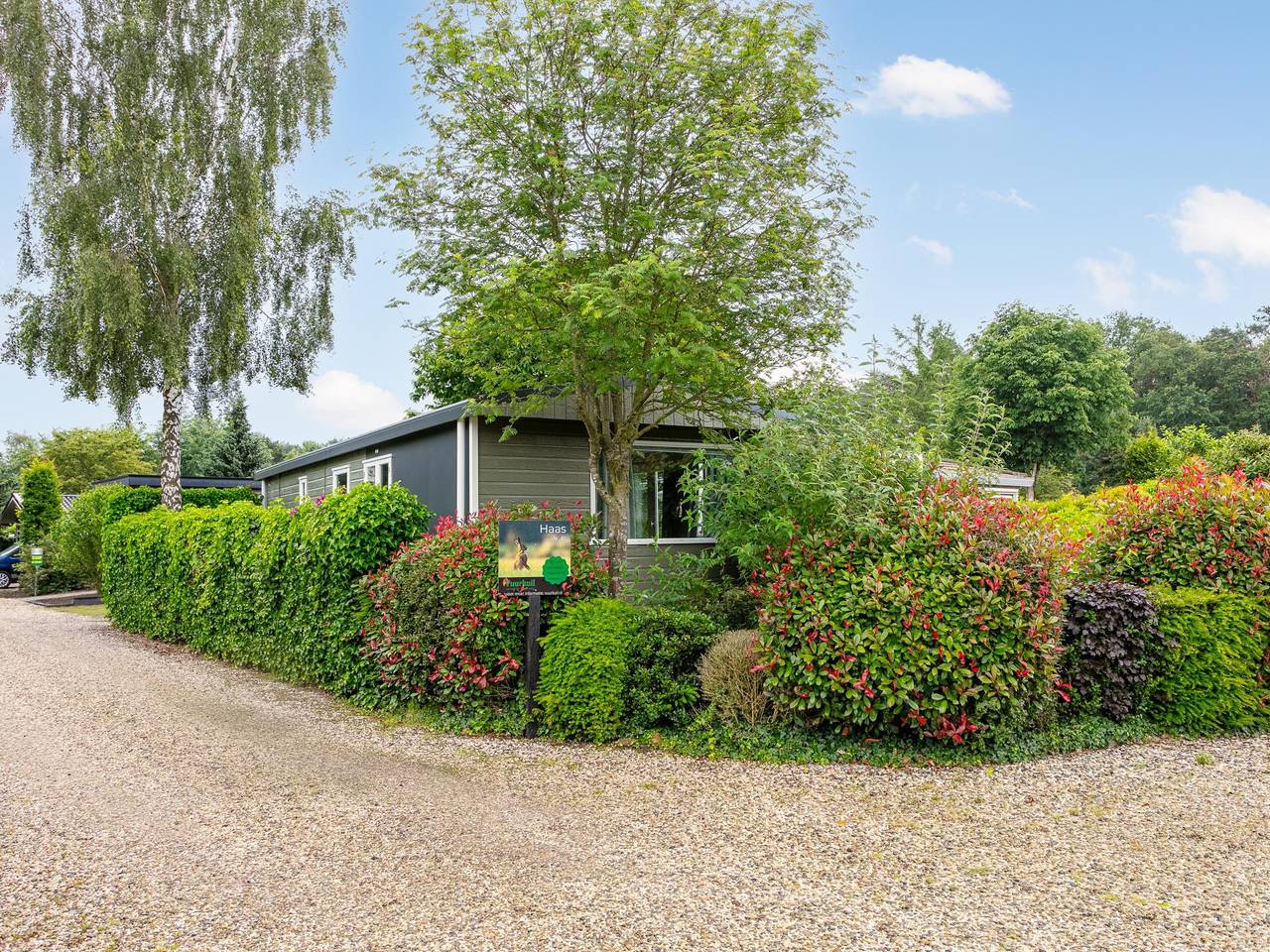 Chalet mit Terrasse auf der Veluwe in Veluwe