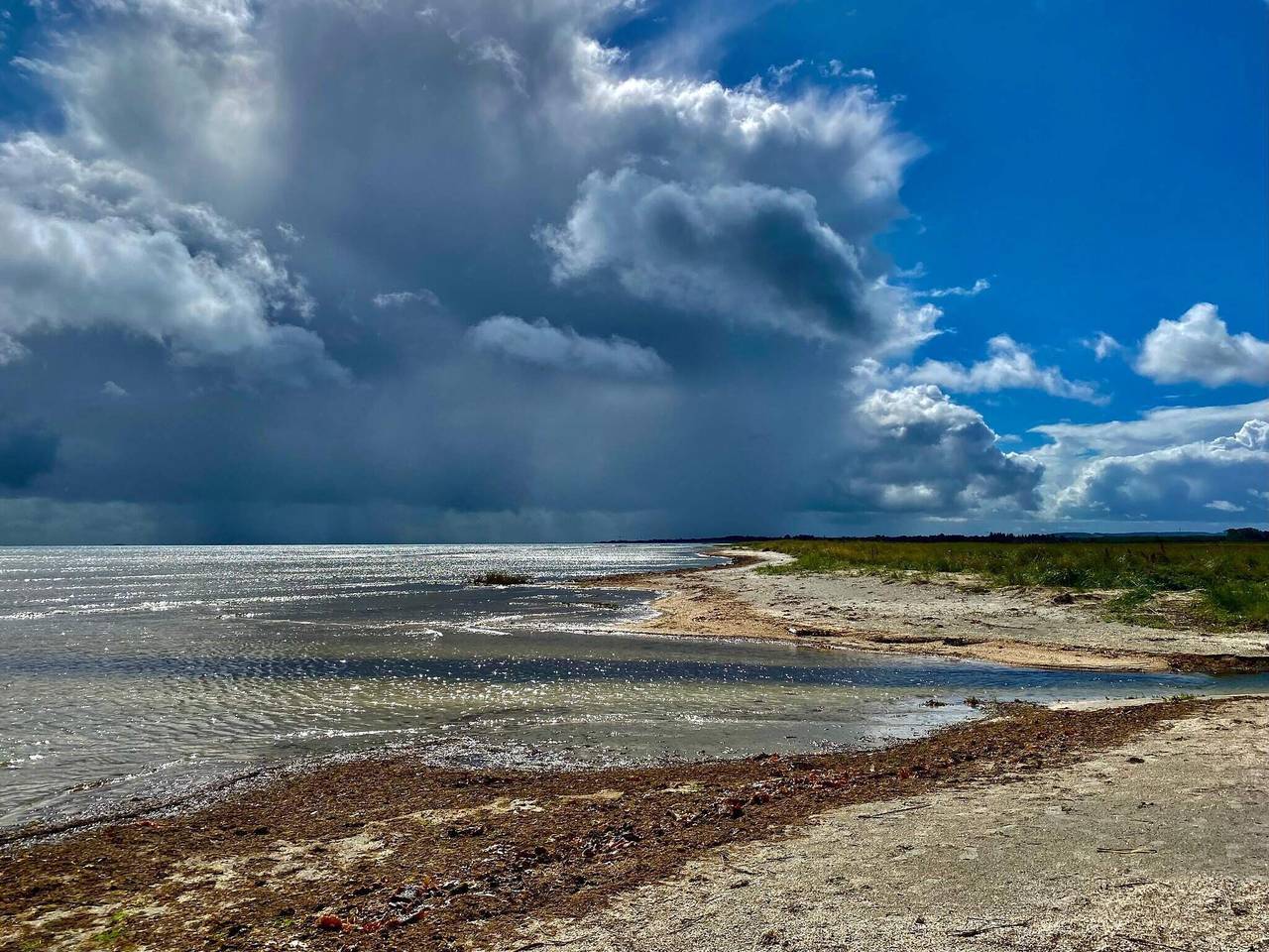 Natur Ruckzug in albaek -- By Traum Ferienwohnungen in Napstjert, Jerup