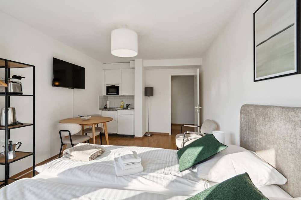 Ganze Wohnung, City studio in Zürich, Bezirk Zürich