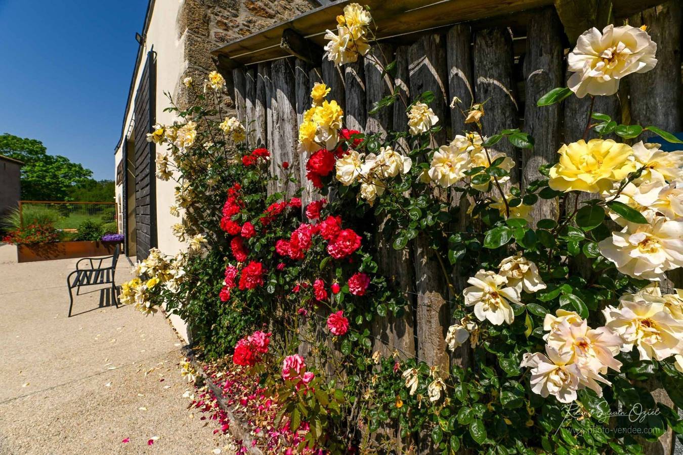 Les Chambres d'Aurore - Chambre Rose in Chambretaud, Vallée de la Loire