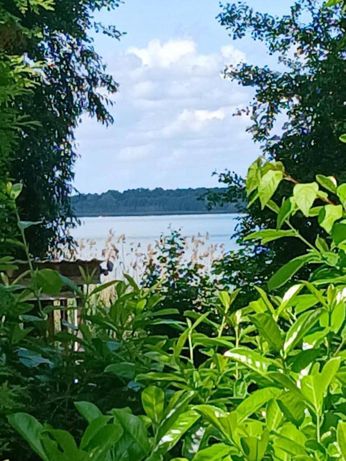 Ferienhaus für 4 Personen, mit Terrasse und Garten sowie Sauna und Ausblick im Altmarkkreis Salzwedel - 4