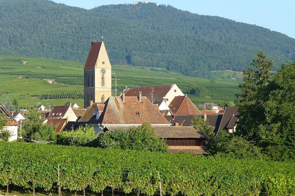 Appartement entier, Appartement 3 pièces 2/5 personnes en lisière de vignoble in Eguisheim, Parc naturel régional des Ballons des Vosges