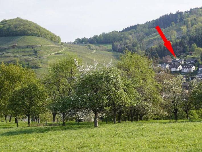 Ferienwohnung mit 1 Schlafzimmer in Sulzburg, Südschwarzwald