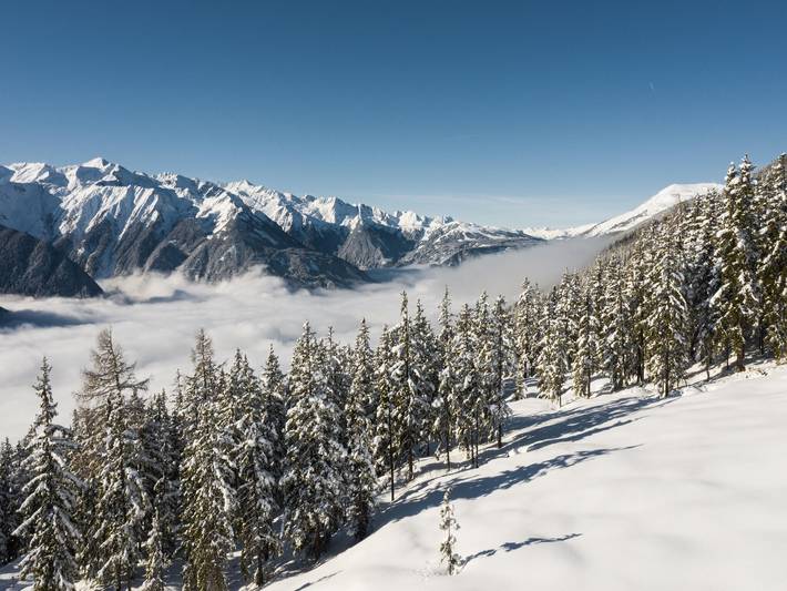 Ferienhaus für 8 Personen, mit Garten und Pool sowie Balkon, kinderfreundlich in Neukirchen am Großvenediger - 3