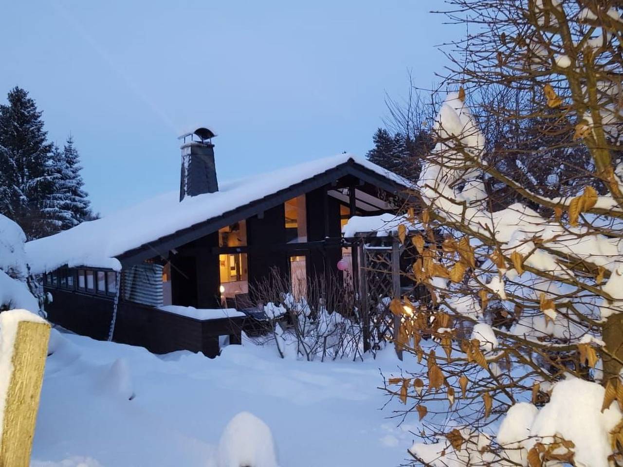 Amselnest in Bromskirchen, Waldecker Land