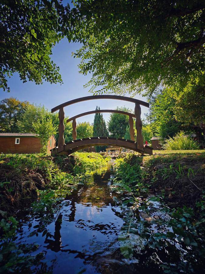 Location de vacances pour 5 personnes, avec bassin pour enfant et vue ainsi que piscine et jardin, adapté aux familles à Terrasson-Lavilledieu - 3