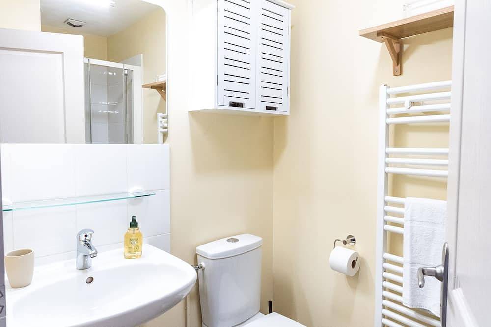 Entire apartment, Le Pont Royal, Spectacular Views of Loire & Bridge from huge, private terrace ! in Amboise, Tours region