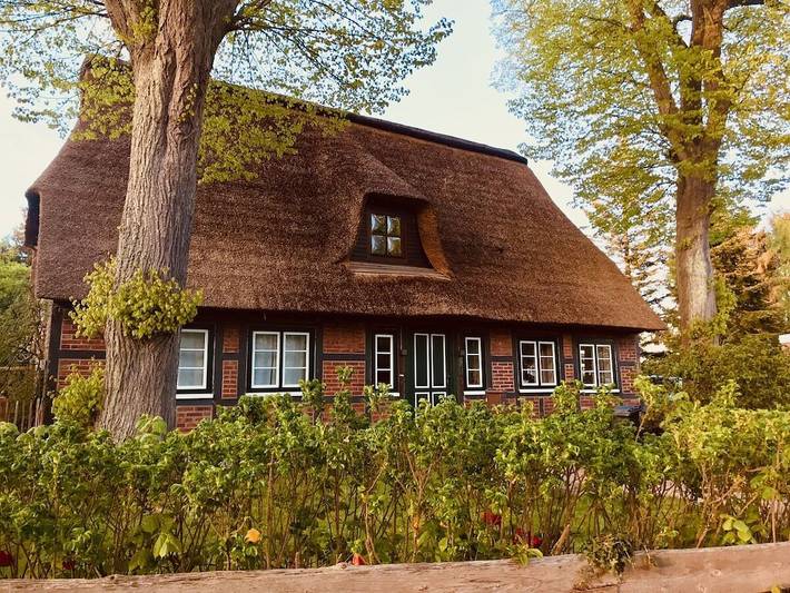 Reet & Ruhe: Haus mit privatem Seezugang in Südliche Ostseeküste