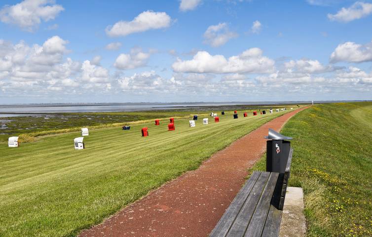 Ferienhaus für 4 Personen, mit Terrasse und Garten in Friedrichskoog - 2