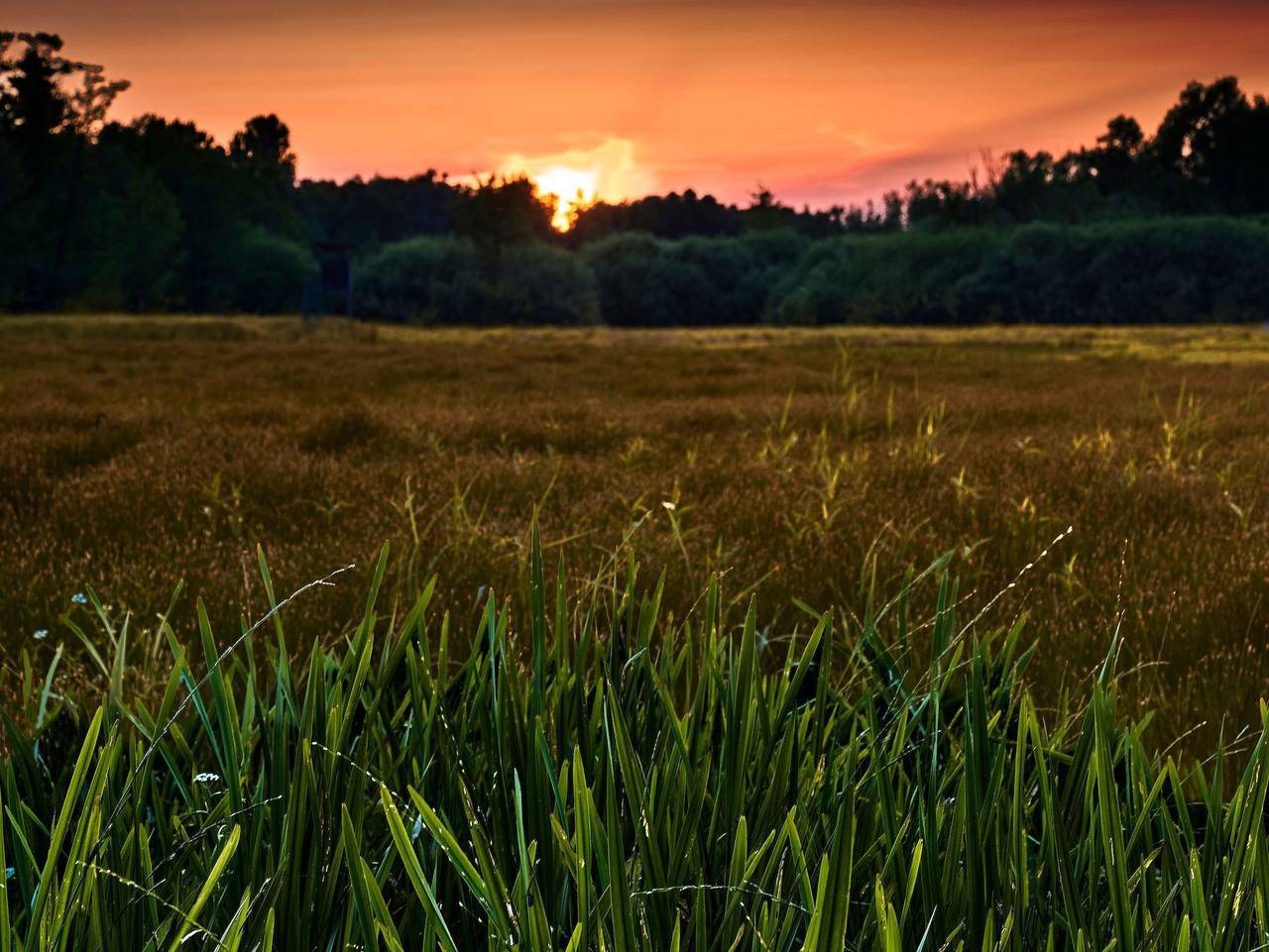 Ganze Ferienwohnung, Ferienwohnung Spreewald pur - Ferienwohnung Spreewald pur in Lübbenau, Oberspreewald-Lausitz