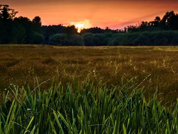 Ferienwohnung für 4 Personen in Lübbenau, Spreewald, Bild 4