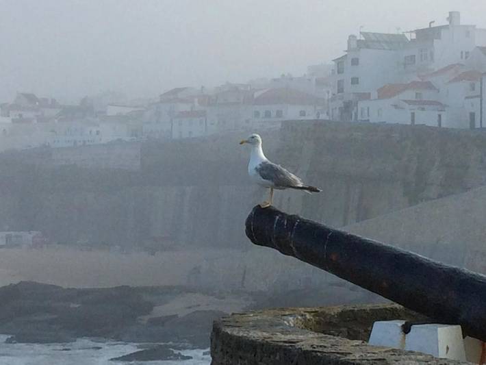 Casa rural para 4 personas, con balcón y vistas en Ericeira - 2