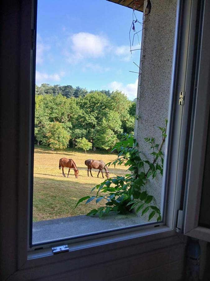 Gîte pour 4 personnes, avec terrasse dans Soulaines-sur-Aubance - 2