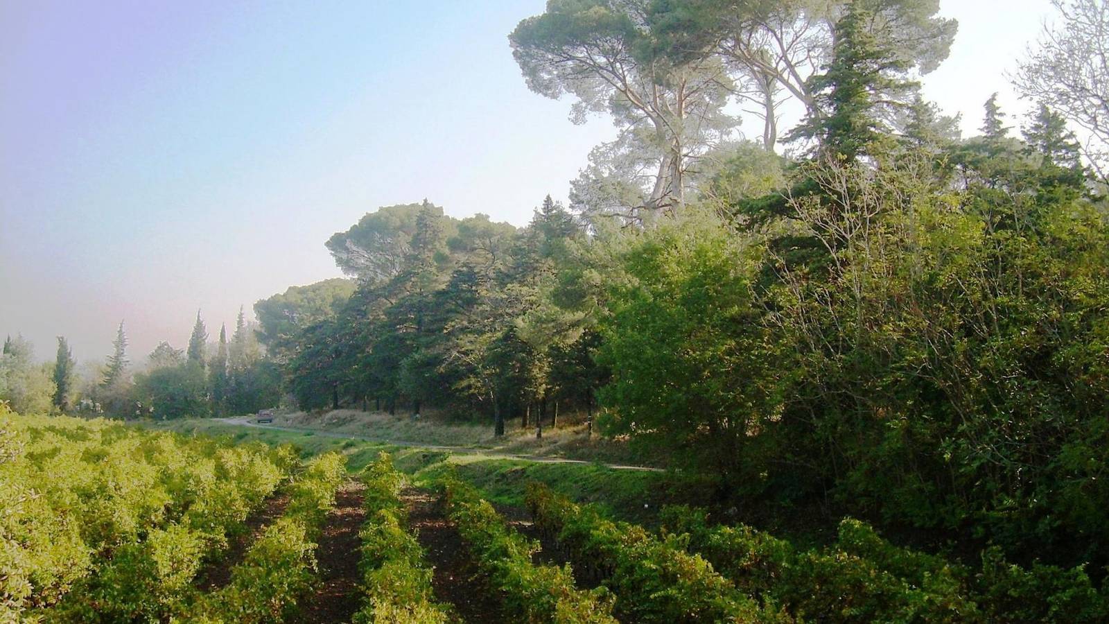 La Forge in Narbonne, Région de Narbonne