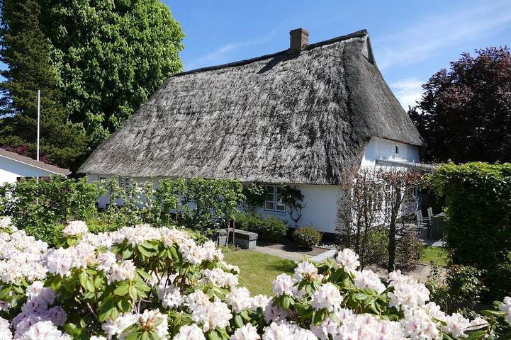 Ferienhaus für 8 Personen, mit Terrasse, mit Haustier - 1