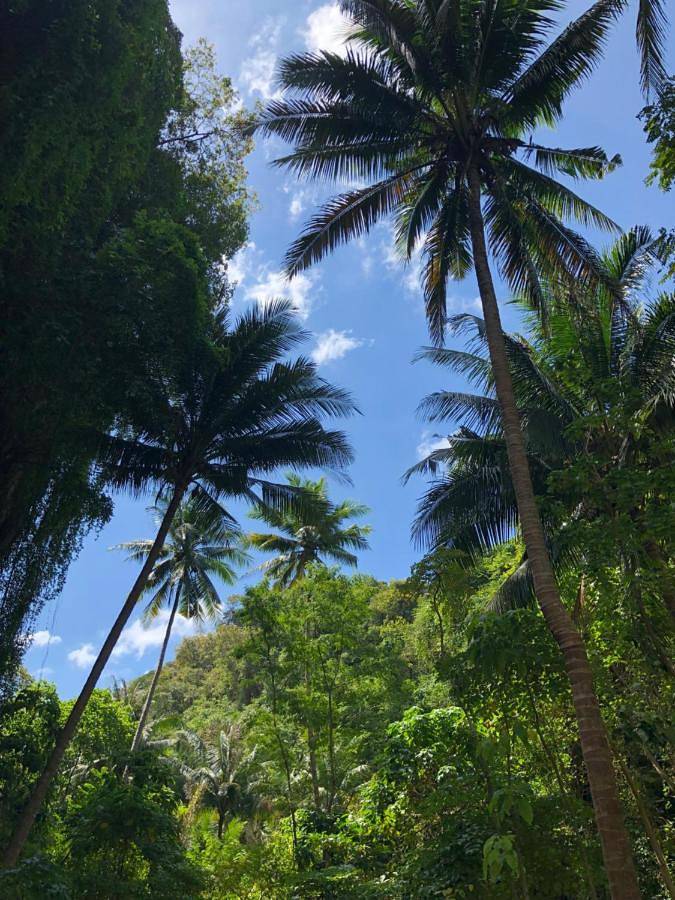 Gîte pour 3 personnes, avec piscine ainsi que vue et jardin, adapté aux familles dans Nai Yang Beach