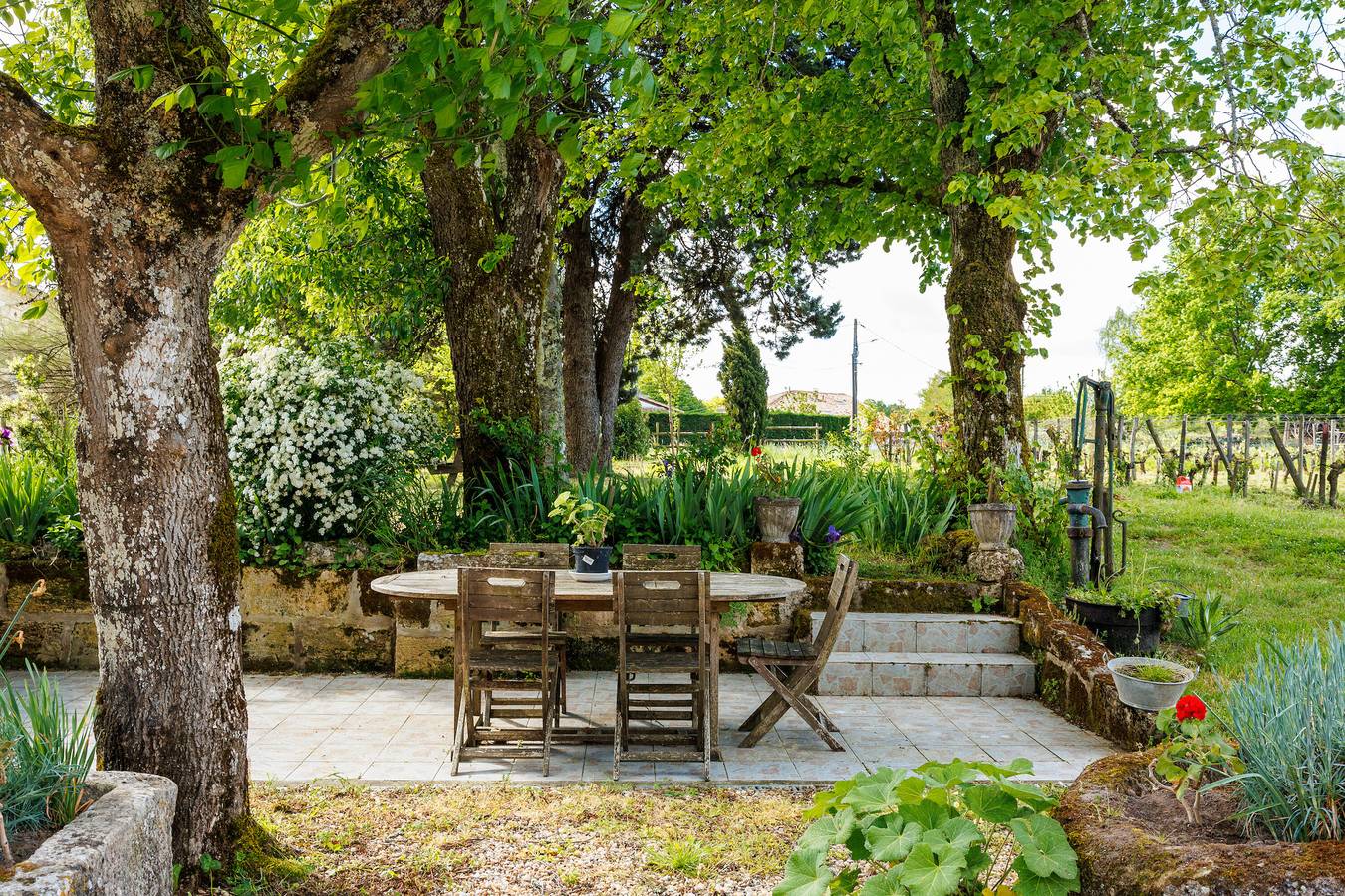 Séjour Authentique au Château Vieux Mougnac : Domaine Viticole Bio, Saint-Emilion, Vins & Détente in Petit-Palais-et-Cornemps, Région de Libourne