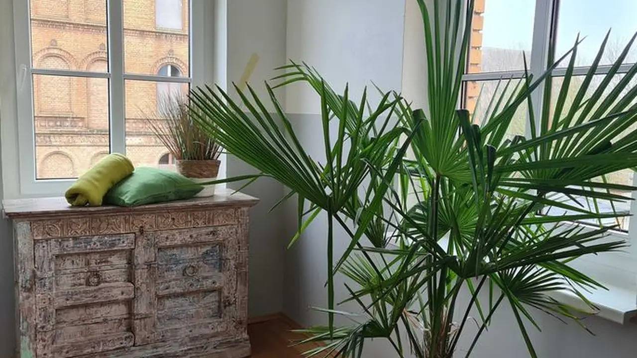 Doppelzimmer für 2 Personen (20 m²) in Anklam in Anklam, Vorpommern Greifswald