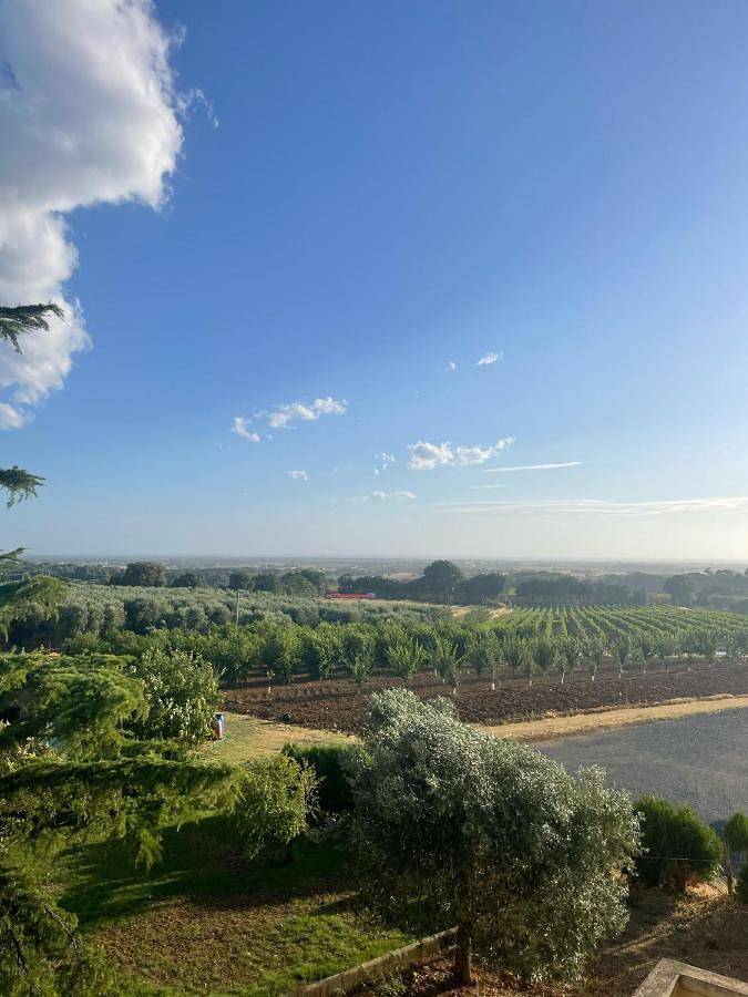 Appartamento vacanze per 4 persone, con panorama e giardino - 1