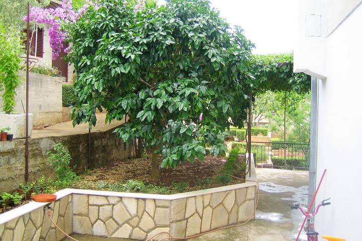 Ganze Wohnung, Ferienwohnungen Jelka, (2108), Jelsa, hr in Jelsa, Hvar