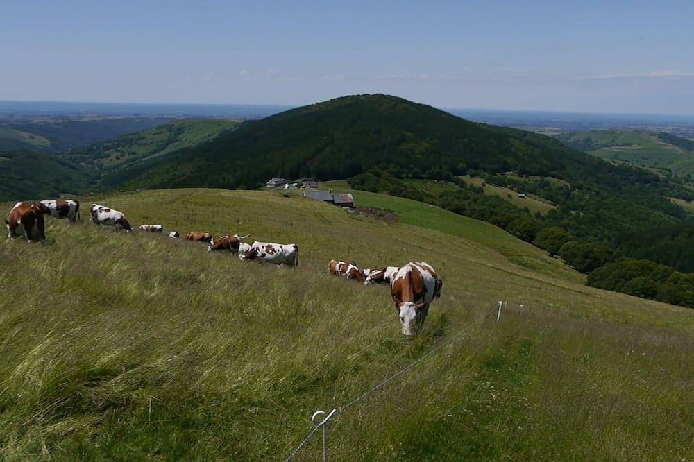 Mobil-home au coeur du cantal: calme, confortable, pratique et pas cher in Vézac (Cantal), Région d'Aurillac