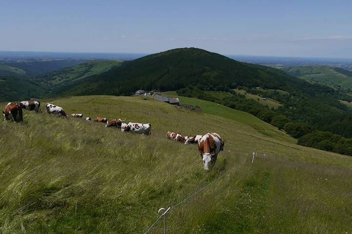 Camping pour 5 personnes dans le Cantal - 4