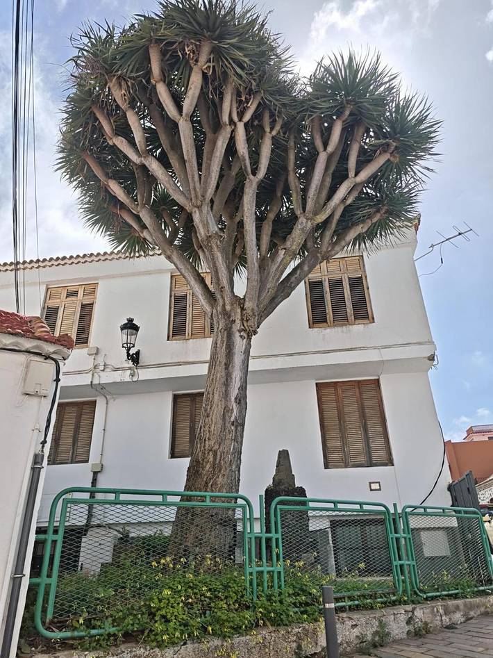 Casa de vacaciones para 5 personas, con balcón, Se admiten mascotas en Gran Canaria - 2