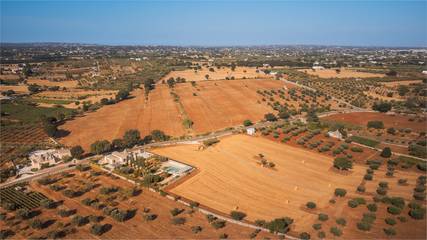 Agriturismo per 6 Persone in Martina Franca, Valle D'Itria, Foto 2