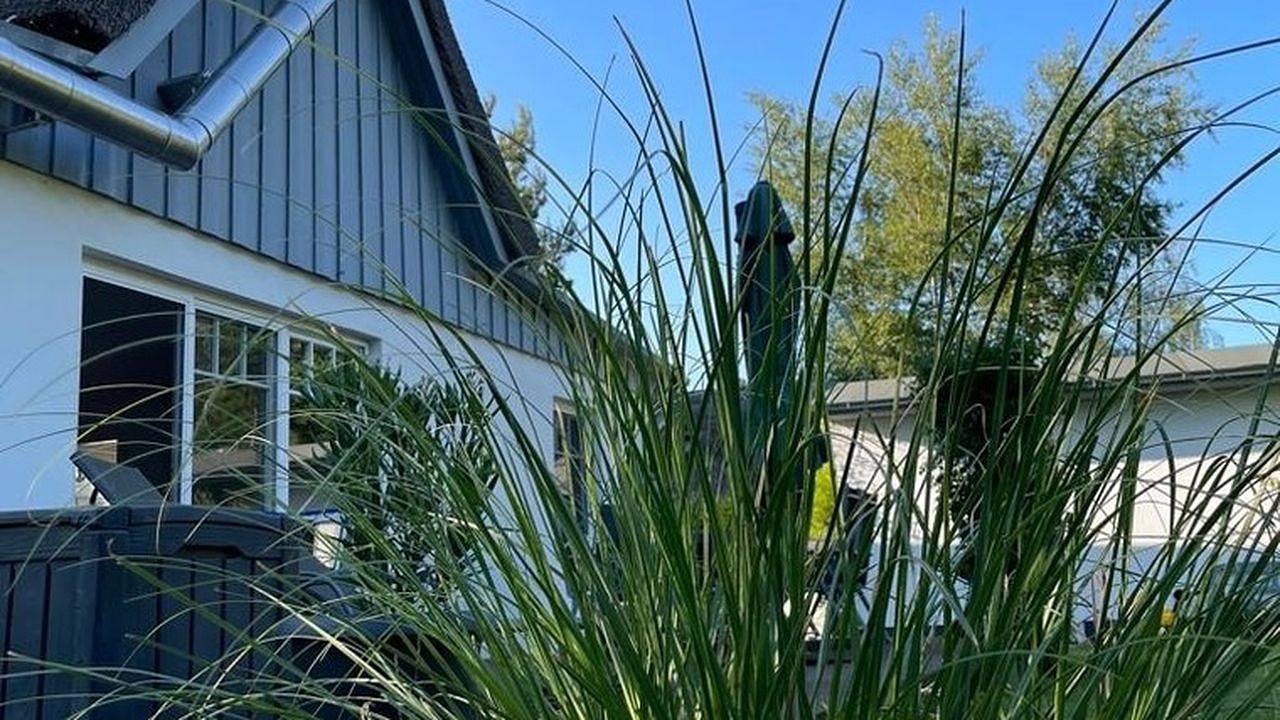 Ferienhaus für 6 Personen (100 m²) in Ostseebad Wustrow in Ostseebad Wustrow, Wustrow