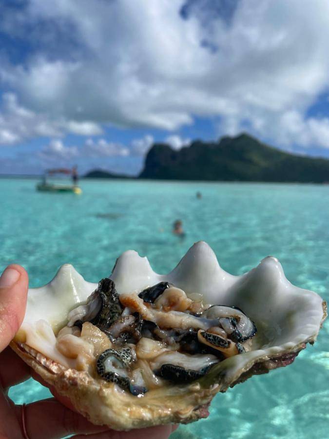 Gîte pour 2 personnes, avec jardin dans Maupiti - 2