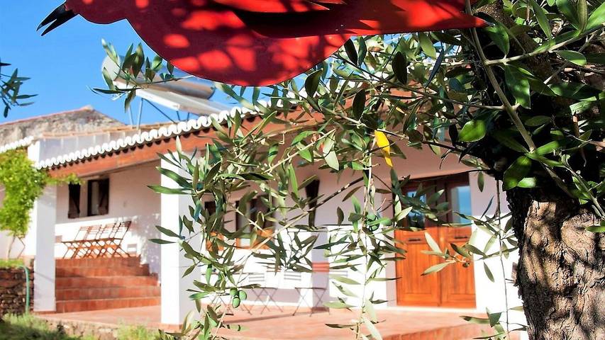 Casa de férias para 8 pessoas, com jardim em Mértola