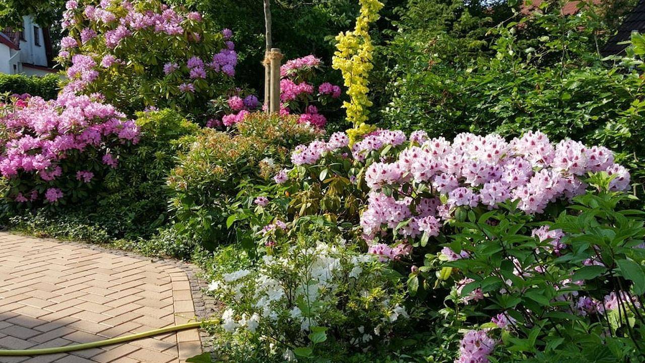 Ferienhaus für 3 Personen (40 m²) in St. Peter-Ording in St. Peter-Bad, St. Peter-Ording