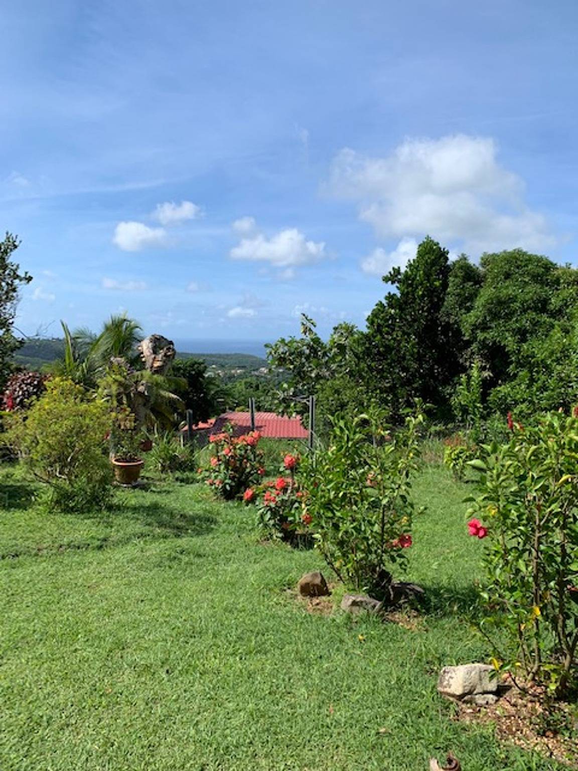 Ganze Wohnung, Charmante Wohnung in Rivière-Salée, 45 m² mit privater Terrasse in Rivière-Salée, Martinique