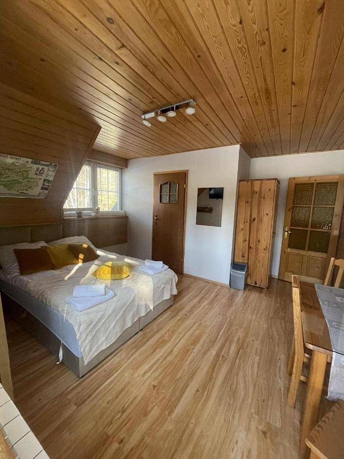 Hôtel pour 4 personnes, avec jardin ainsi que piscine et vue à Stryszawa - 2