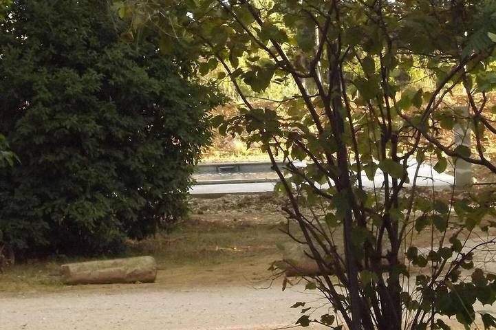 Gîte dans un Mas en campagne au pied du Luberon... terrasse, piscine et barbecue in Cavaillon, Parc naturel régional du Luberon