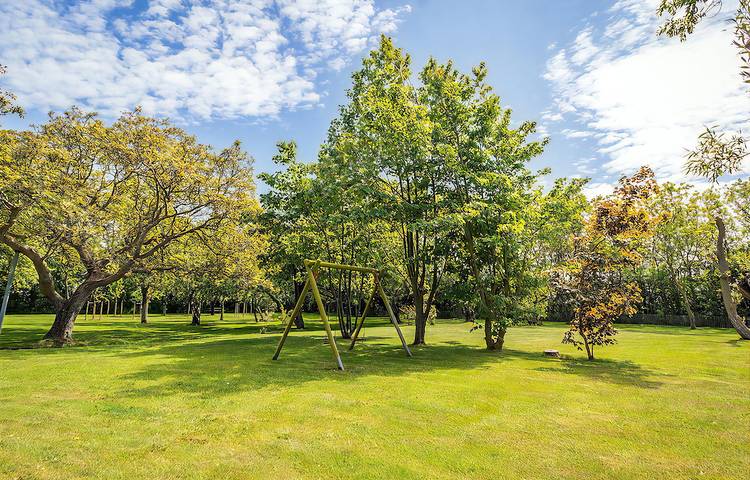 Ferienhaus für 2 Personen, mit Terrasse und Garten in Nordholland - 2