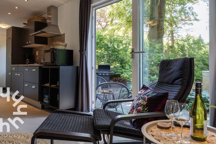 Wooded 4-person chalet with hot tub and sauna in large private garden in Diever in Nationalpark Dwingelderveld