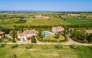 Villa in Petra, Majorca Center für 12 