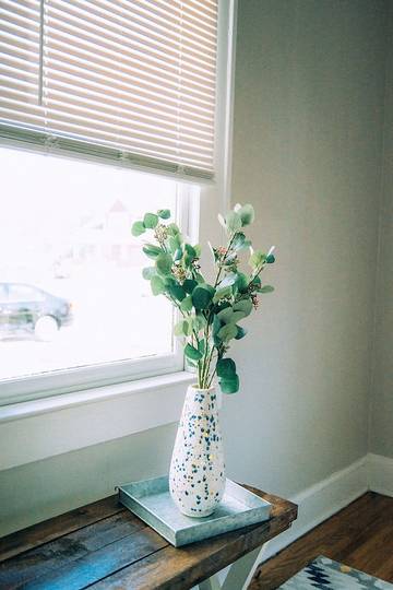 Vacation House for 8 Guests in Villa Heights, Charlotte, Picture 3