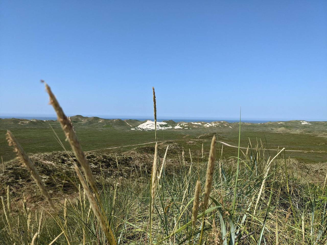 Gemutliches Strandhaus in Skodbjerge, Haurvig